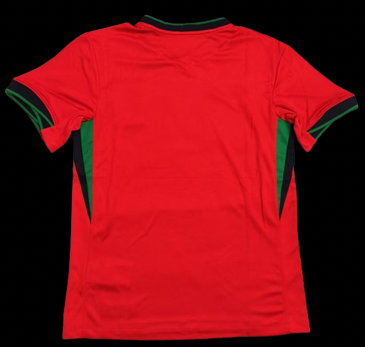 Portugal 24/25 Home with euros badge