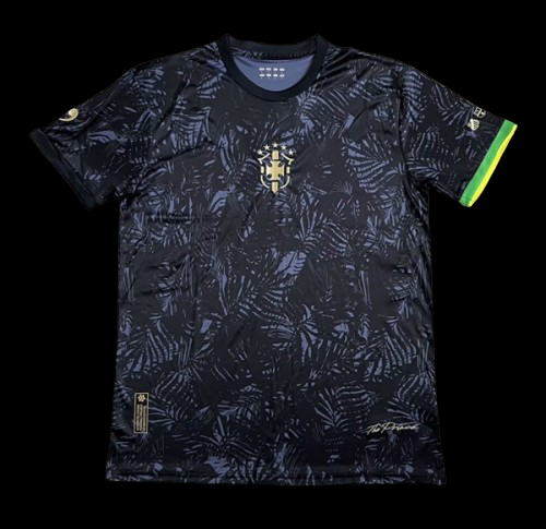 Brazil Concept The Prince