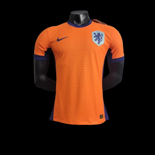 Netherlands 24/25 Player Version Home