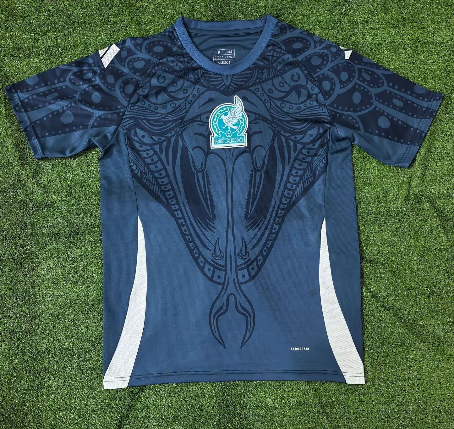 Mexico 24/25 Phython Concept