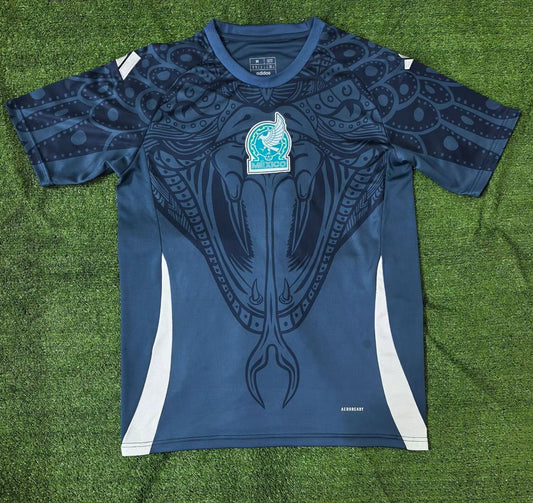 Mexico 24/25 Phython Concept