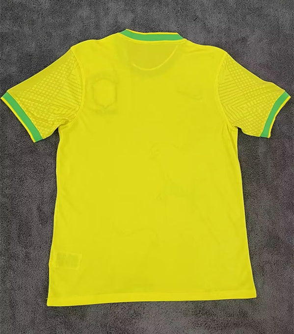 Brazil Dove Concept Yellow