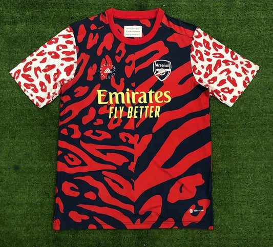 Arsenal Concept