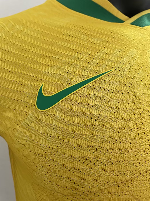 Brazil Concept Christ The Redeemer Player Version